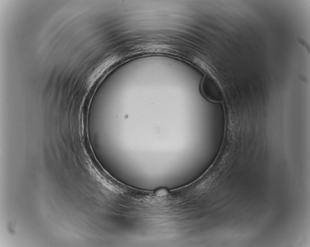 X0000100371082200806201622