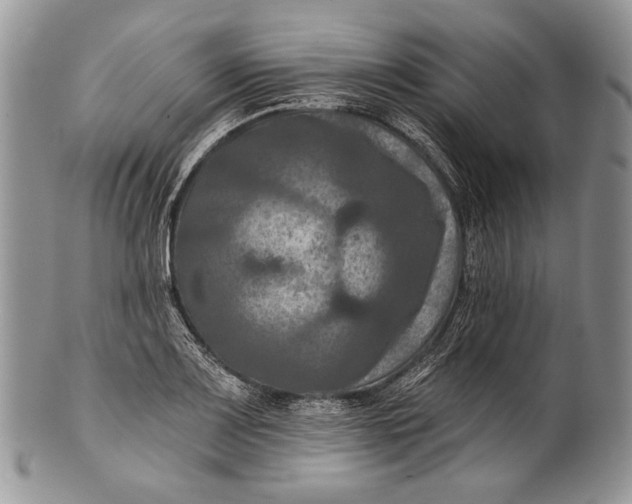 X0000100371083200806201622