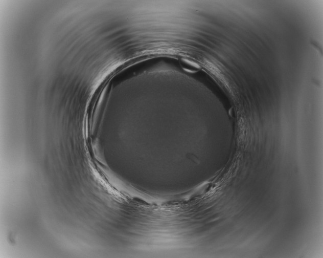 X0000100371084200806201622