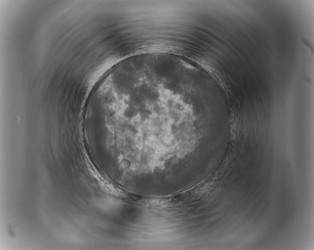 X0000100371086200806201622