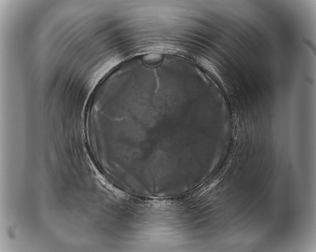 X0000100371087200806201622