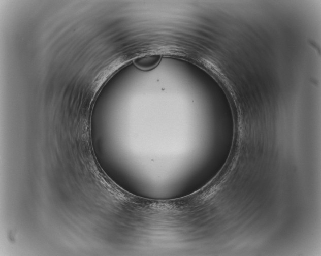 X0000100371089200806201622