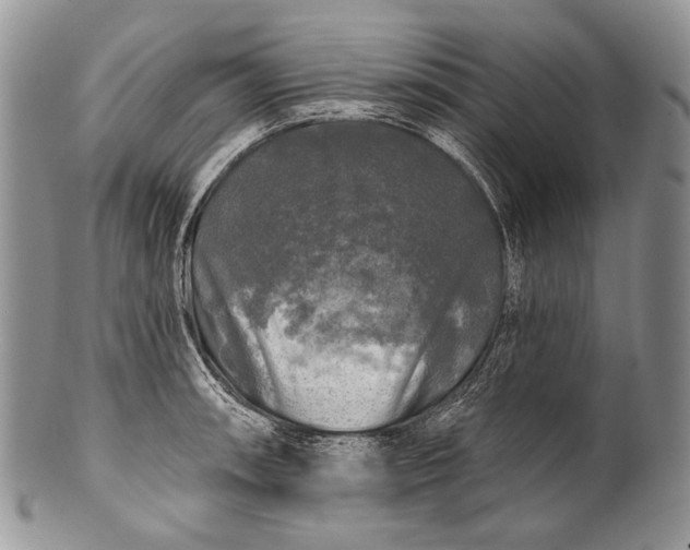 X0000100371090200806201622