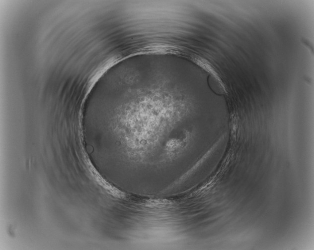 X0000100371091200806201622