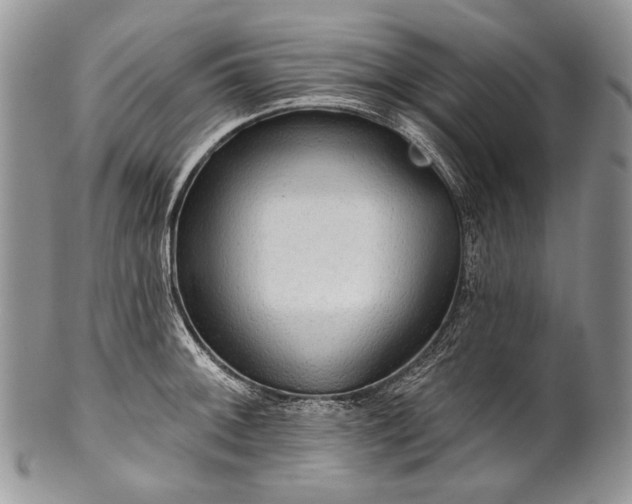 X0000100371092200806201622