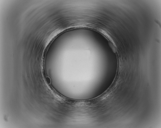 X0000100371093200806201622