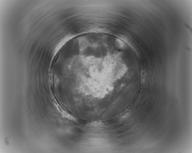 X0000100371094200806201622