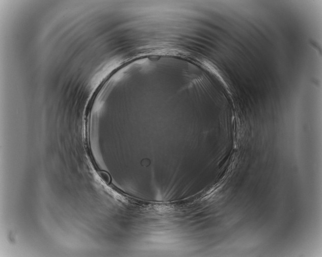 X0000100371095200806201622