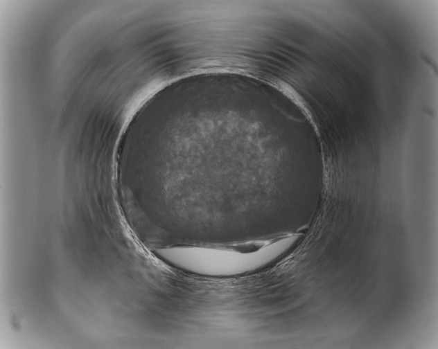 X0000100371096200806201622