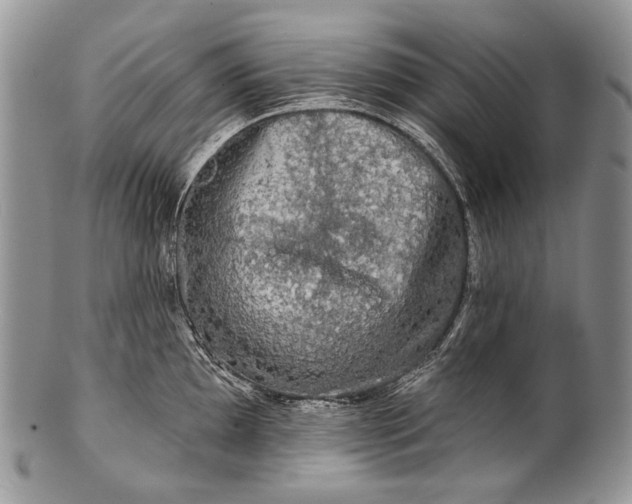 X0000100371097200806201622