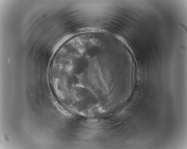 X0000100371098200806201622