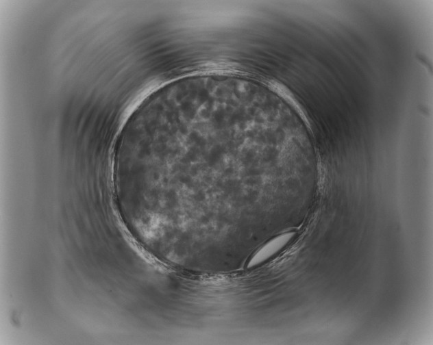 X0000100371099200806201622