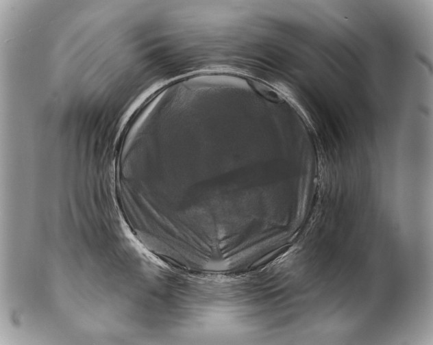 X0000100371100200806201622