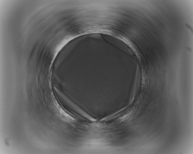 X0000100371102200806201622