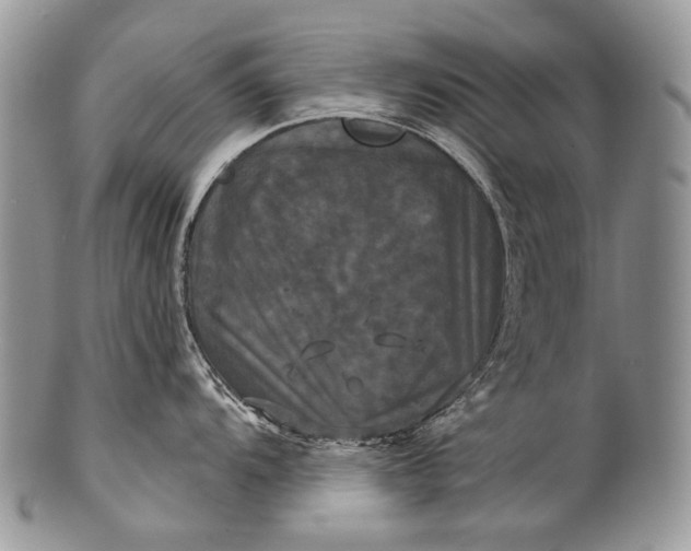 X0000100371104200806201621