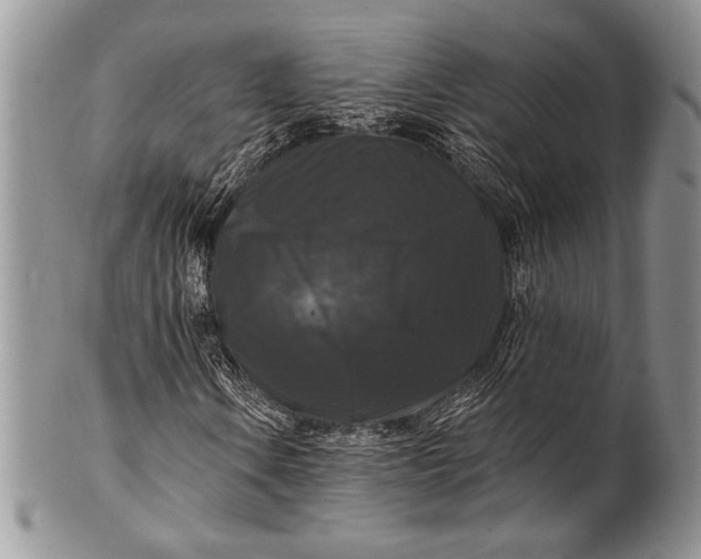 X0000100371106200806201621