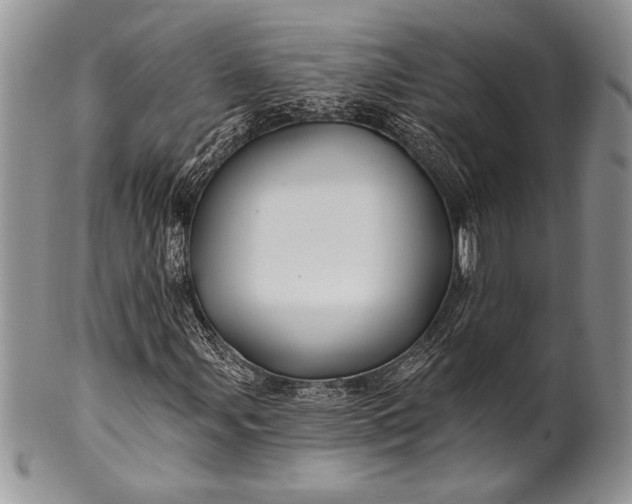 X0000100371107200806201621