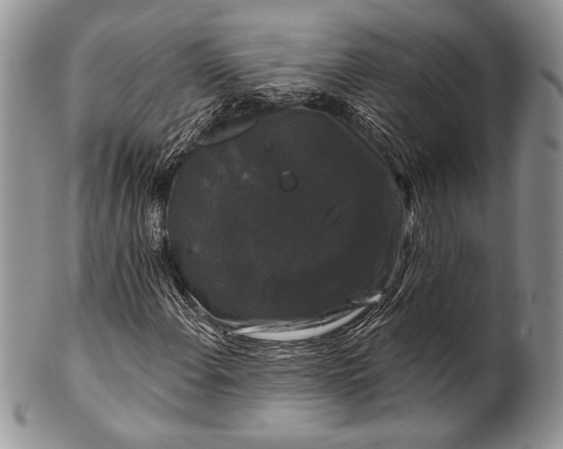 X0000100371108200806201621