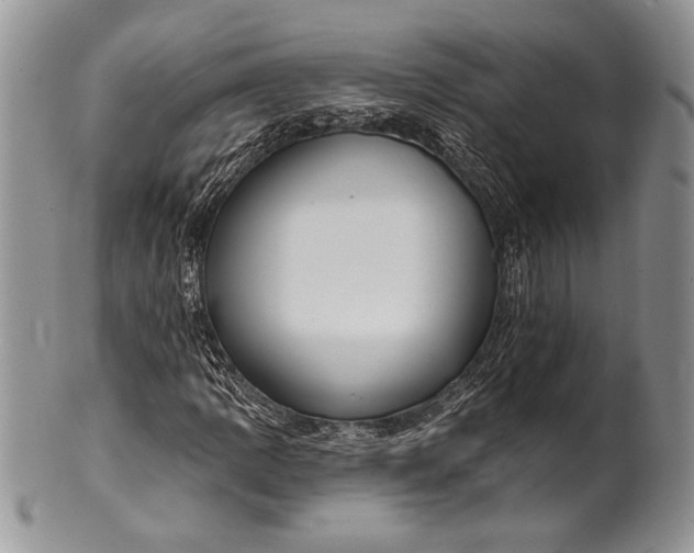 X0000100371109200806201621