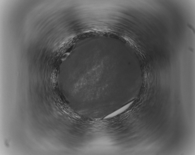 X0000100371110200806201621