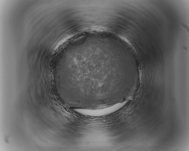 X0000100371112200806201621