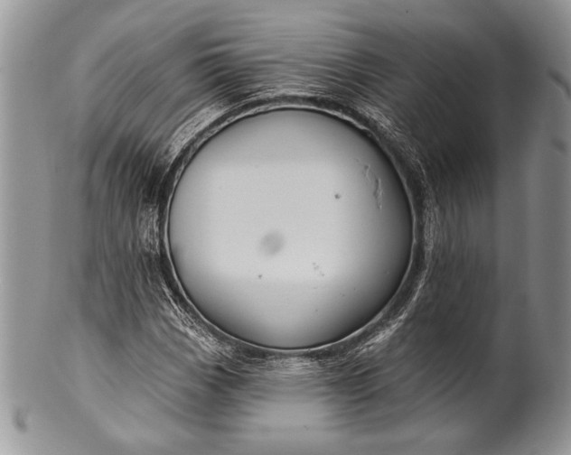 X0000100371113200806201621