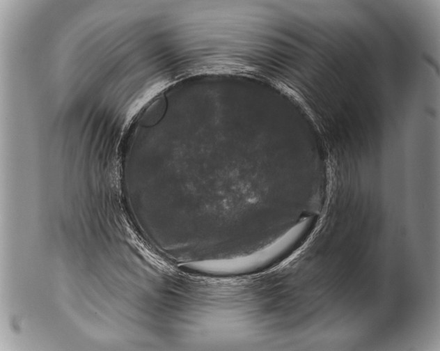 X0000100371114200806201621