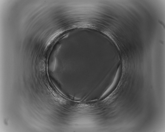 X0000100371115200806201621