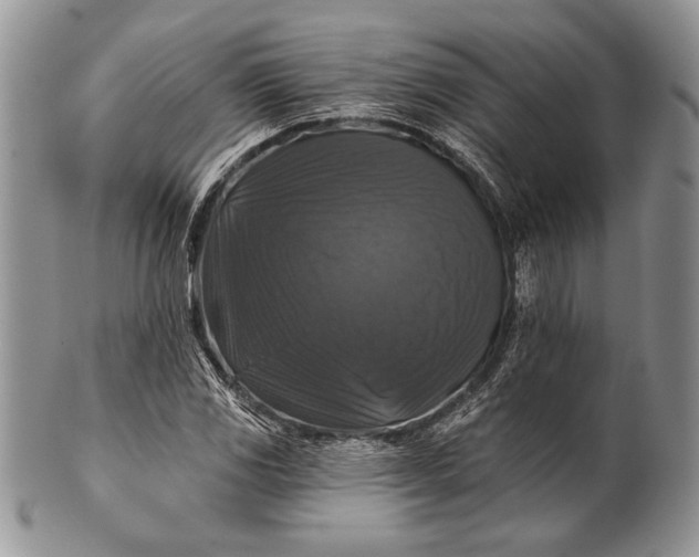 X0000100371117200806201621