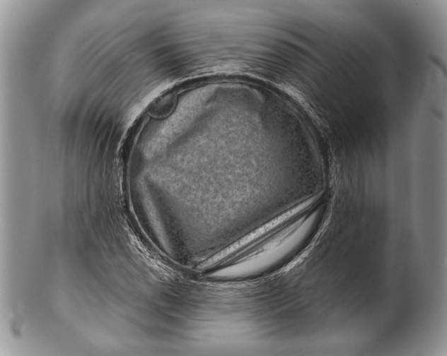 X0000100371118200806201621