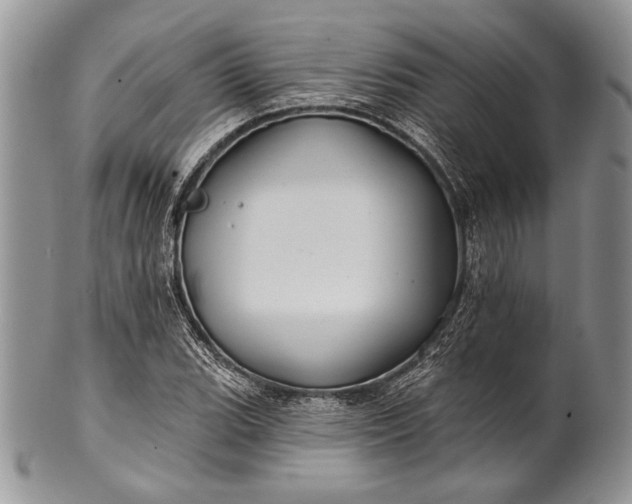 X0000100371119200806201621