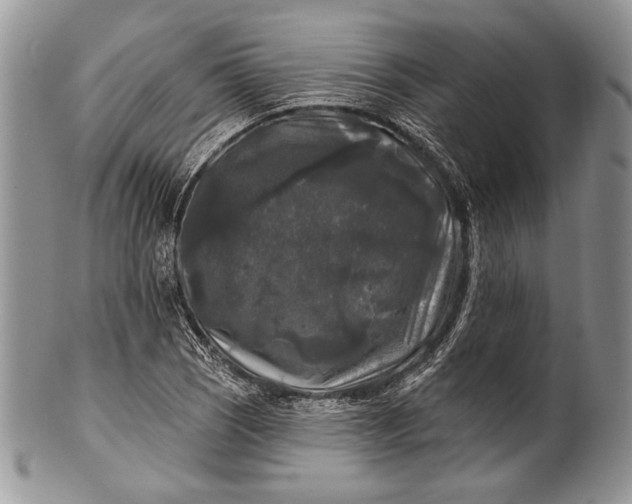 X0000100371121200806201621