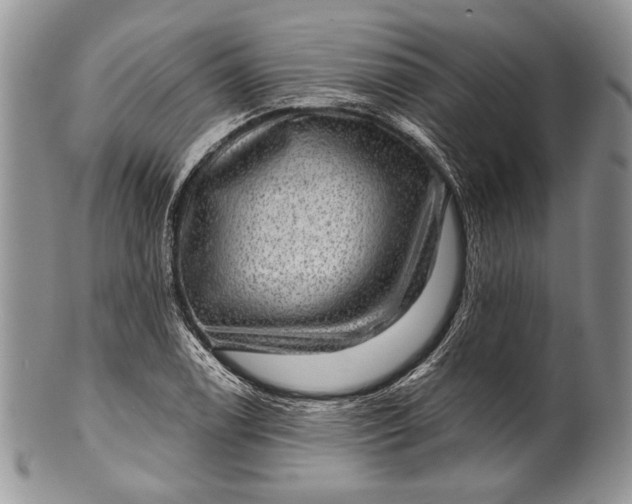 X0000100371122200806201621