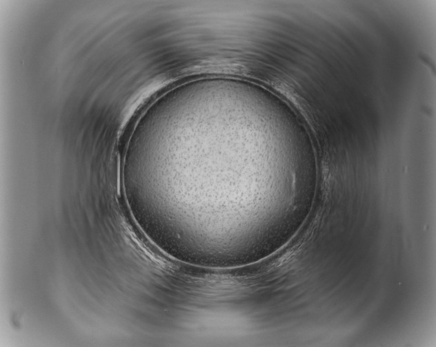 X0000100371123200806201621