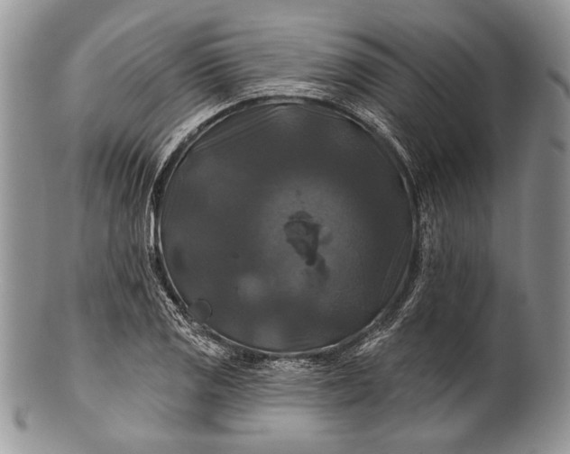 X0000100371125200806201621