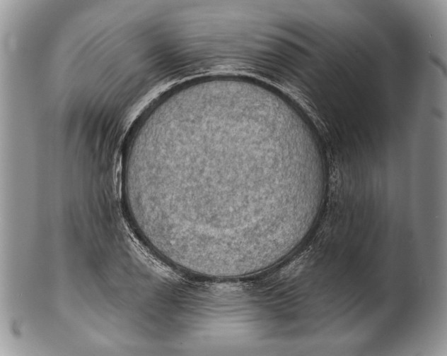 X0000100371126200806201621