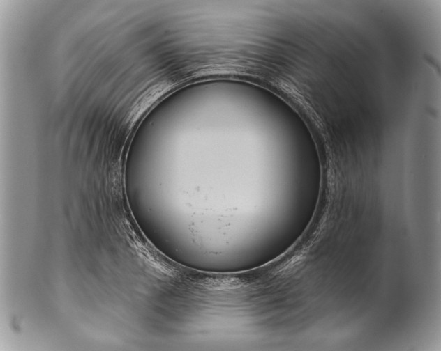 X0000100371129200806201621