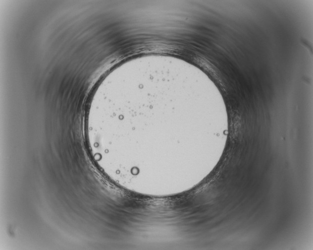 X0000100371130200806201621