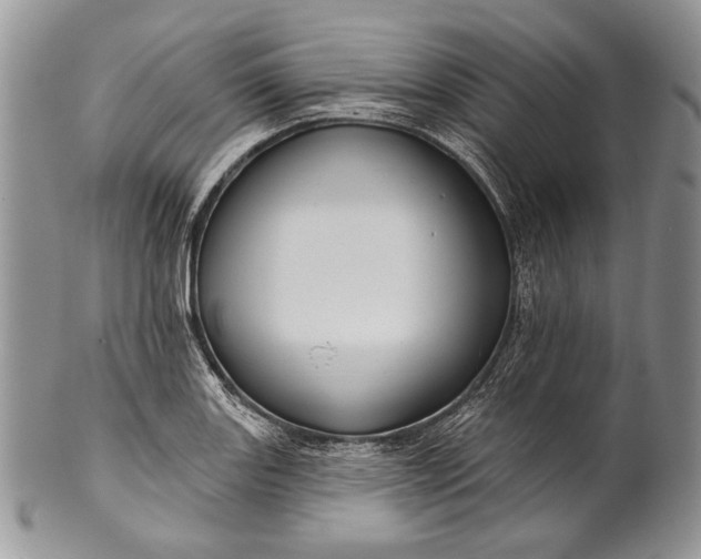 X0000100371131200806201621