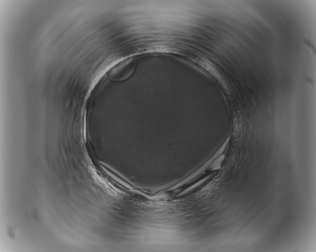 X0000100371132200806201621