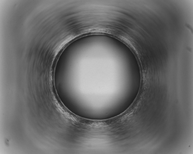 X0000100371133200806201621