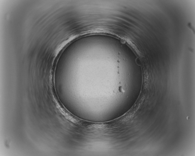 X0000100371134200806201621