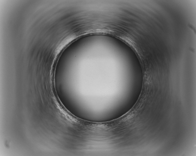 X0000100371135200806201621