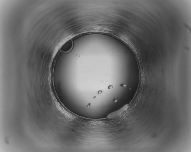 X0000100371136200806201621