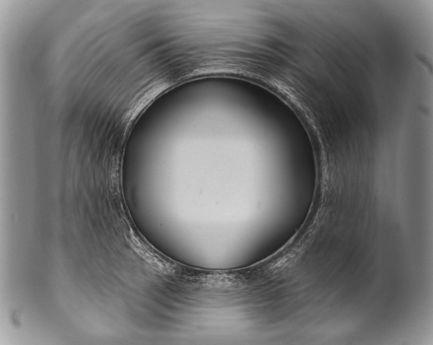 X0000100371137200806201621