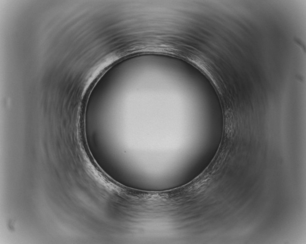 X0000100371139200806201621