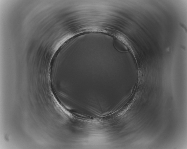 X0000100371141200806201621