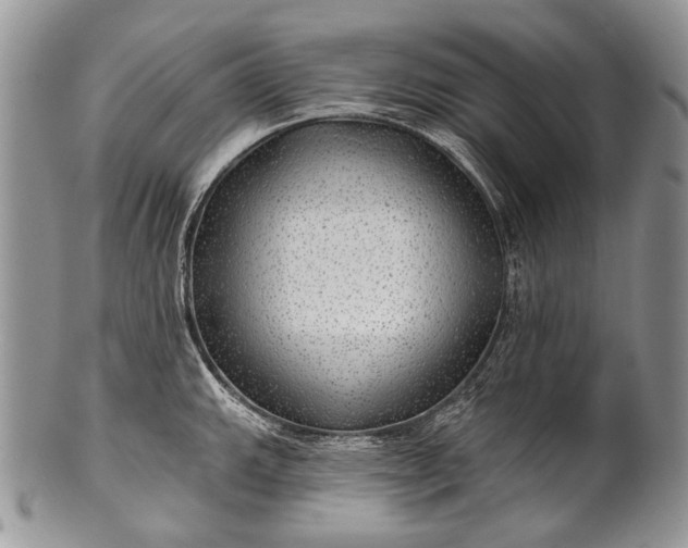 X0000100371143200806201621