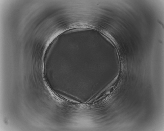 X0000100371144200806201621