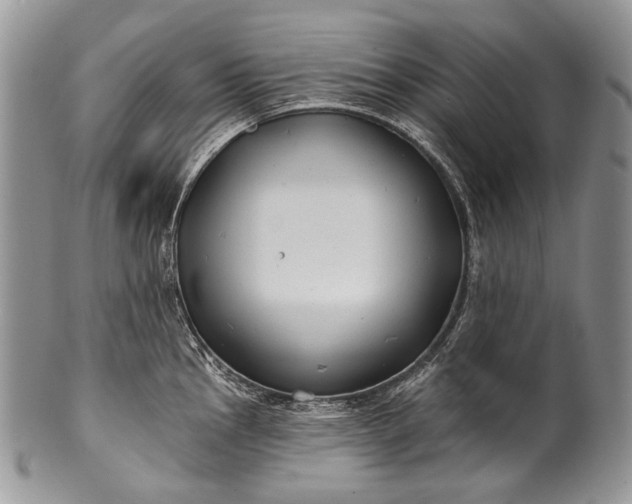 X0000100371145200806201621